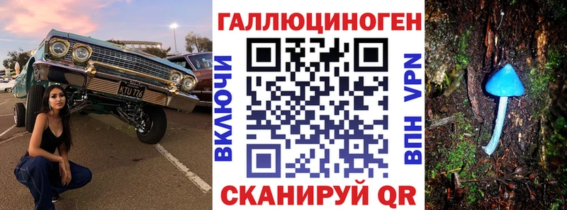 наркота  блэк спрут онион  Галлюциногенные грибы GOLDEN TEACHER  площадка наркотические препараты  Лермонтов 