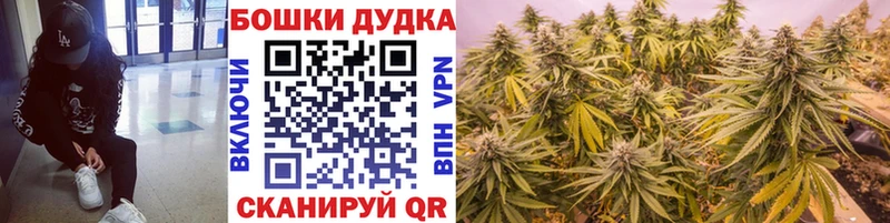 Конопля SATIVA & INDICA  Лермонтов 